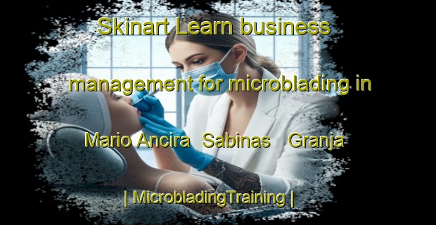 Skinart Learn business management for microblading in Mario Ancira  Sabinas   Granja | MicrobladingTraining | MicrobladingClasses | SkinartTraining-Mexico